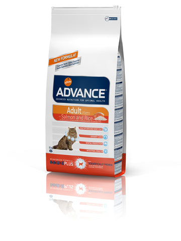 Advance Adult Gato Salmon & Rice