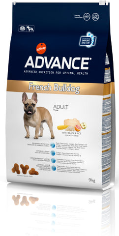 Advance Bulldog Francés