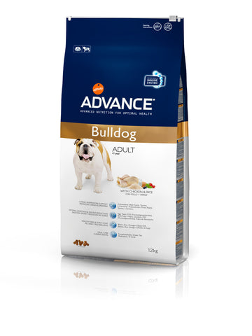 Advance Bulldog Inglés