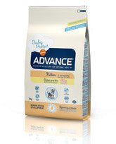 Advance Kitten