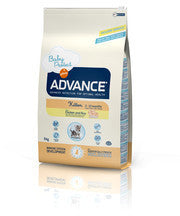 Advance Kitten