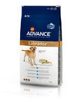 Advance Labrador